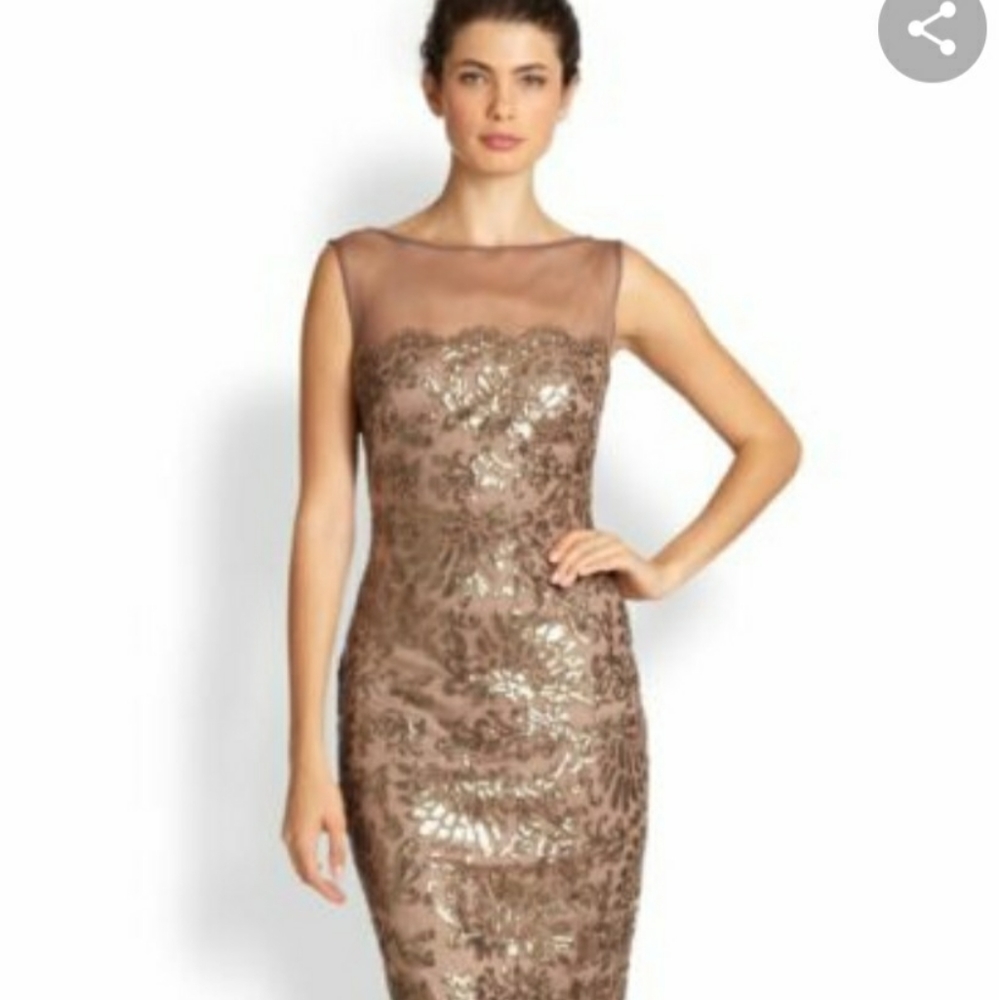 Tadashi Shoji Illusion Yoke Gown NWT